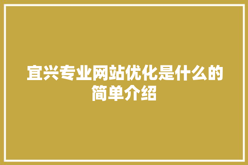 宜兴专业网站优化是什么的简单介绍