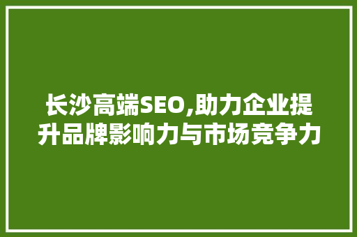 长沙高端SEO,助力企业提升品牌影响力与市场竞争力