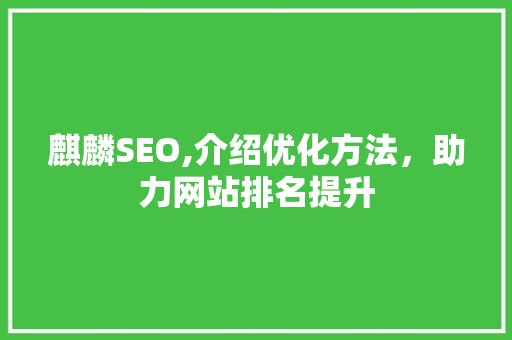 麒麟SEO,介绍优化方法，助力网站排名提升