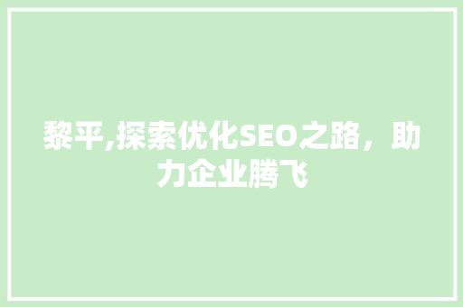 黎平,探索优化SEO之路，助力企业腾飞