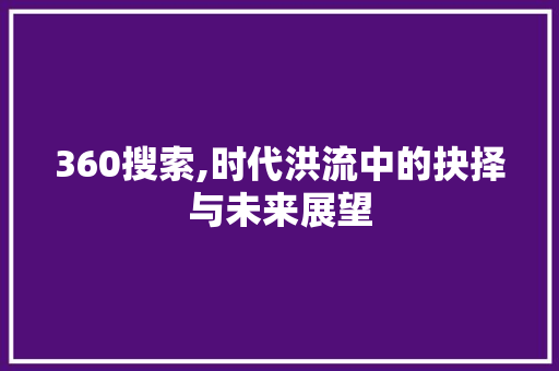 360搜索,时代洪流中的抉择与未来展望 360搜索,时代洪流中的抉择与未来展望 SEO关键词