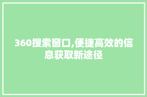360搜索窗口,便捷高效的信息获取新途径