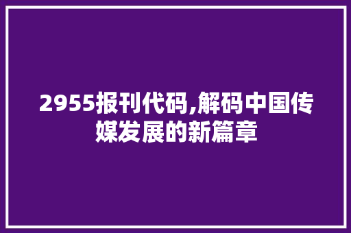 2955报刊代码,解码中国传媒发展的新篇章
