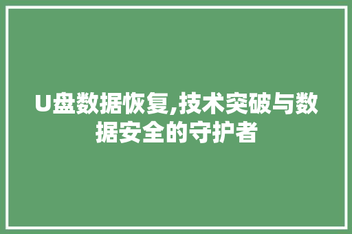 U盘数据恢复,技术突破与数据安全的守护者 SEO关键词 U盘数据恢复,技术突破与数据安全的守护者 U盘数据恢复,技术突破与数据安全的守护者 SEO关键词