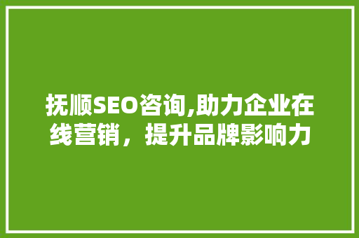 抚顺SEO咨询,助力企业在线营销，提升品牌影响力