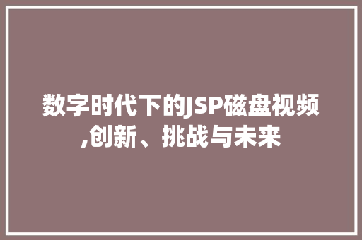 数字时代下的JSP磁盘视频,创新、挑战与未来