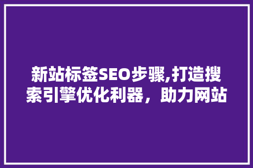 新站标签SEO步骤,打造搜索引擎优化利器，助力网站快速崛起 新站标签SEO步骤,打造搜索引擎优化利器，助力网站快速崛起 网站建设公司