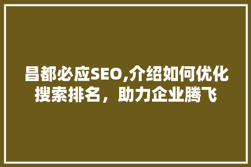 昌都必应SEO,介绍如何优化搜索排名，助力企业腾飞