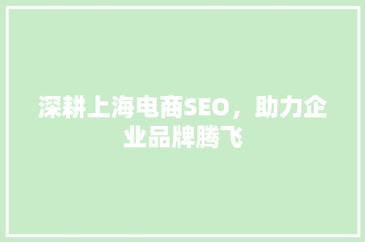 深耕上海电商SEO，助力企业品牌腾飞 深耕上海电商SEO，助力企业品牌腾飞 必应SEO