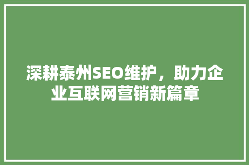 深耕泰州SEO维护,助力企业互联网营销新篇章 网站建设公司 深耕泰州SEO维护,助力企业互联网营销新篇章 深耕泰州SEO维护,助力企业互联网营销新篇章 网站建设公司