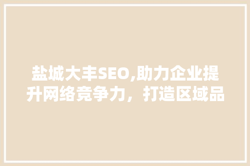 盐城大丰SEO,助力企业提升网络竞争力，打造区域品牌新标杆