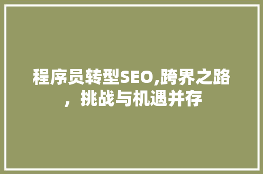 程序员转型SEO,跨界之路，挑战与机遇并存 程序员转型SEO,跨界之路，挑战与机遇并存 网站建设公司