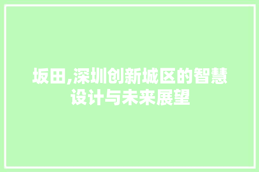 坂田,深圳创新城区的智慧设计与未来展望