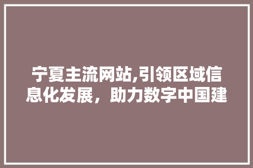 宁夏主流网站,引领区域信息化发展，助力数字中国建设 宁夏主流网站,引领区域信息化发展，助力数字中国建设 神马SEO