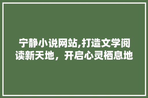 宁静小说网站,打造文学阅读新天地，开启心灵栖息地之旅 宁静小说网站,打造文学阅读新天地，开启心灵栖息地之旅 百度SEO