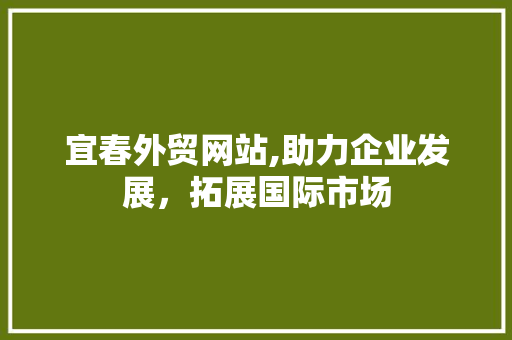 宜春外贸网站,助力企业发展，拓展国际市场