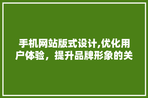 手机网站版式设计,优化用户体验，提升品牌形象的关键步骤