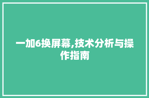 一加6换屏幕,技术分析与操作指南