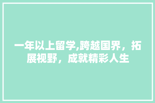 一年以上留学,跨越国界，拓展视野，成就精彩人生