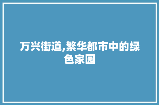 万兴街道,繁华都市中的绿色家园 万兴街道,繁华都市中的绿色家园 百度SEO