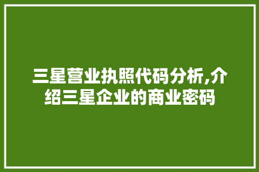 三星营业执照代码分析,介绍三星企业的商业密码