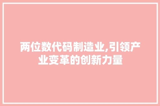 两位数代码制造业,引领产业变革的创新力量