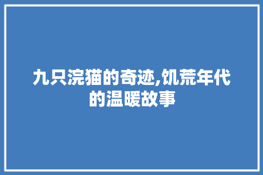 九只浣猫的奇迹,饥荒年代的温暖故事