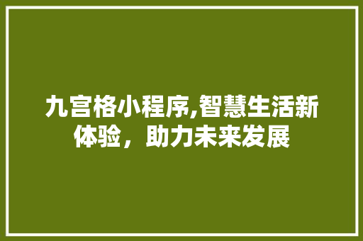 九宫格小程序,智慧生活新体验，助力未来发展