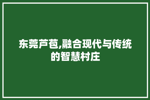 东莞芦苞,融合现代与传统的智慧村庄 东莞芦苞,融合现代与传统的智慧村庄 百度SEO
