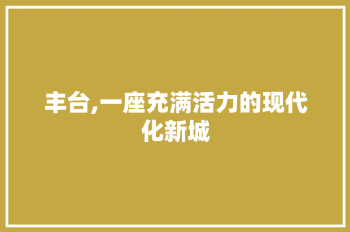 丰台,一座充满活力的现代化新城