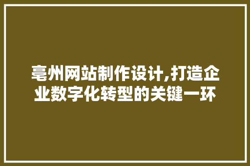 亳州网站制作设计,打造企业数字化转型的关键一环 亳州网站制作设计,打造企业数字化转型的关键一环 神马SEO