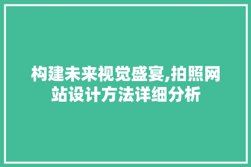 构建未来视觉盛宴,拍照网站设计方法详细分析