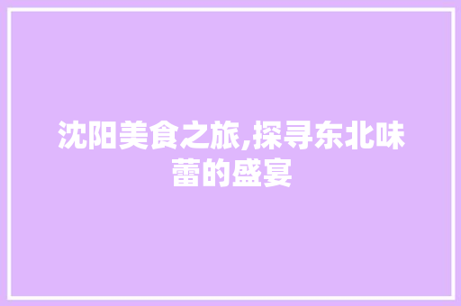 沈阳美食之旅,探寻东北味蕾的盛宴 沈阳美食之旅,探寻东北味蕾的盛宴 必应SEO