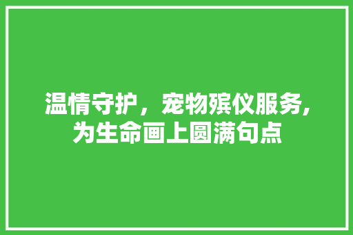 温情守护，宠物殡仪服务,为生命画上圆满句点