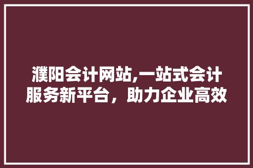 濮阳会计网站,一站式会计服务新平台，助力企业高效管理 濮阳会计网站,一站式会计服务新平台，助力企业高效管理 必应SEO