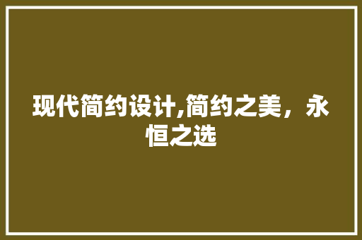 现代简约设计,简约之美，永恒之选