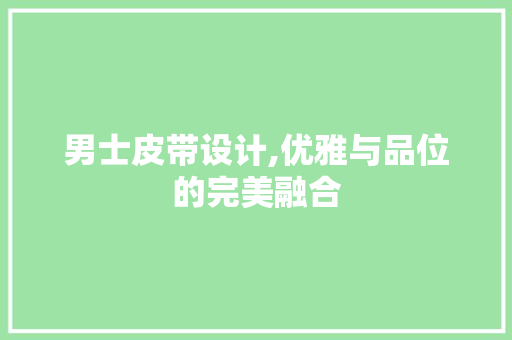男士皮带设计,优雅与品位的完美融合