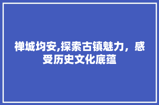 禅城均安,探索古镇魅力，感受历史文化底蕴