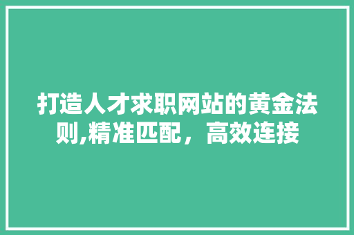 打造人才求职网站的黄金法则,精准匹配，高效连接