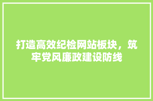 打造高效纪检网站板块，筑牢党风廉政建设防线 打造高效纪检网站板块，筑牢党风廉政建设防线 百度SEO