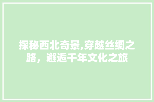 探秘西北奇景,穿越丝绸之路，邂逅千年文化之旅
