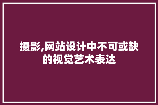 摄影,网站设计中不可或缺的视觉艺术表达