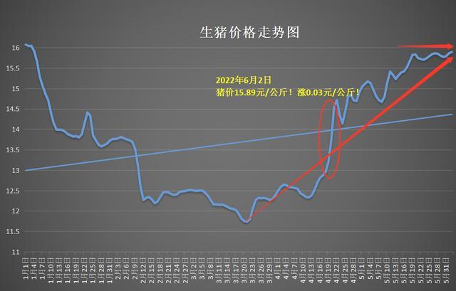 猪价大范围下跌,生猪屠企持刀割肉!猪价未来走势如何,。 网站建设公司 猪价大范围下跌,生猪屠企持刀割肉!猪价未来走势如何,。 猪价大范围下跌,生猪屠企持刀割肉!猪价未来走势如何,。 网站建设公司