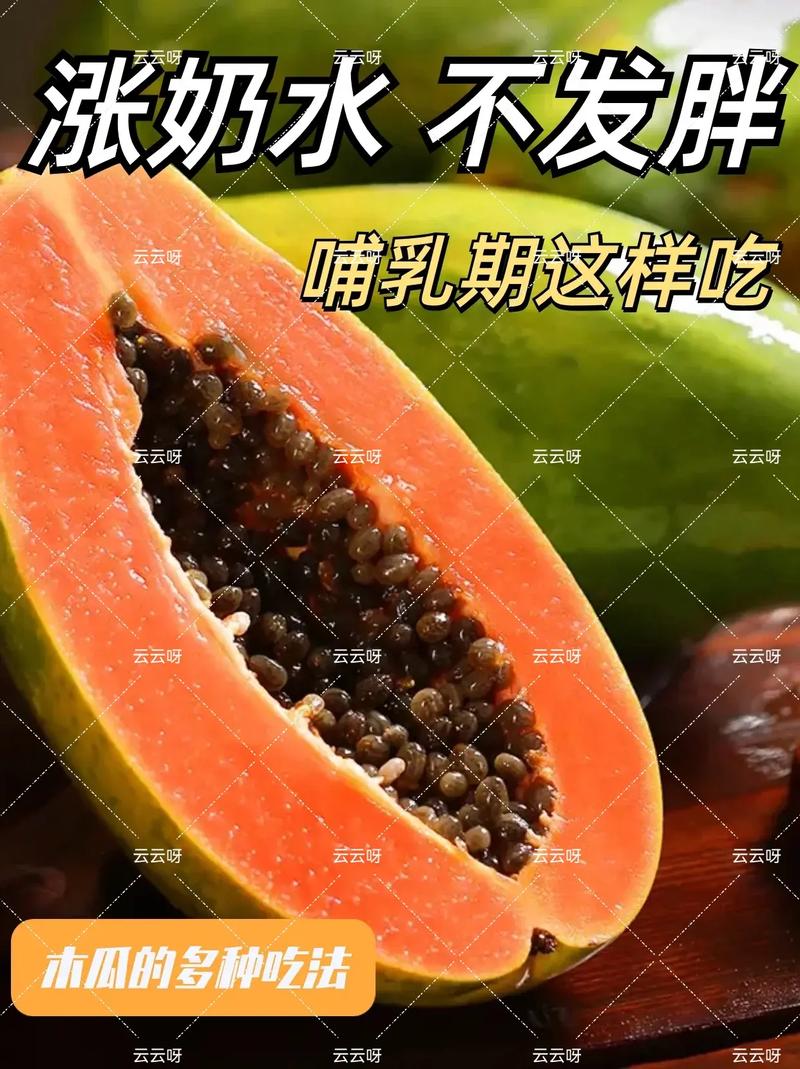 母乳期间为什么要吃猪油下奶,为什么有木瓜是什么生肖。 必应SEO 母乳期间为什么要吃猪油下奶,为什么有木瓜是什么生肖。 母乳期间为什么要吃猪油下奶,为什么有木瓜是什么生肖。 必应SEO