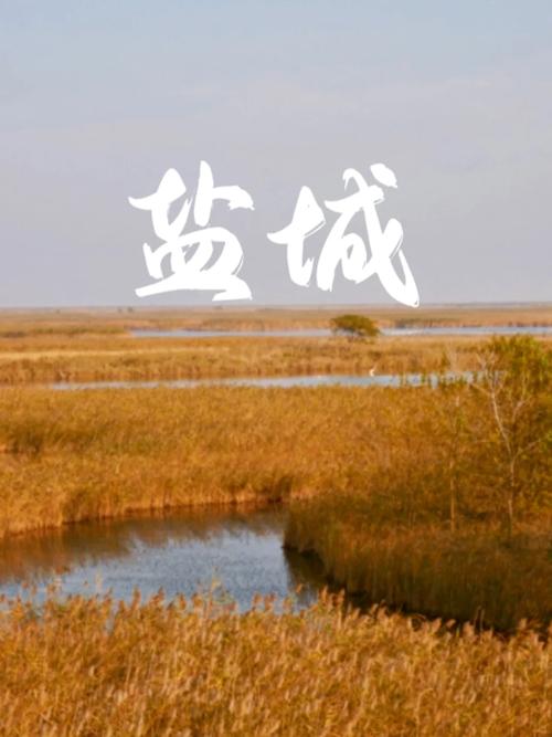 为什么有人说盐城的地名那么土气,为什么美国人土气那么好。 为什么有人说盐城的地名那么土气,为什么美国人土气那么好。 必应SEO