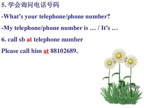 telephone number 前面加the 还是an,number前为什么加the。 搜狗SEO telephone number 前面加the 还是an,number前为什么加the。 telephone number 前面加the 还是an,number前为什么加the。 搜狗SEO
