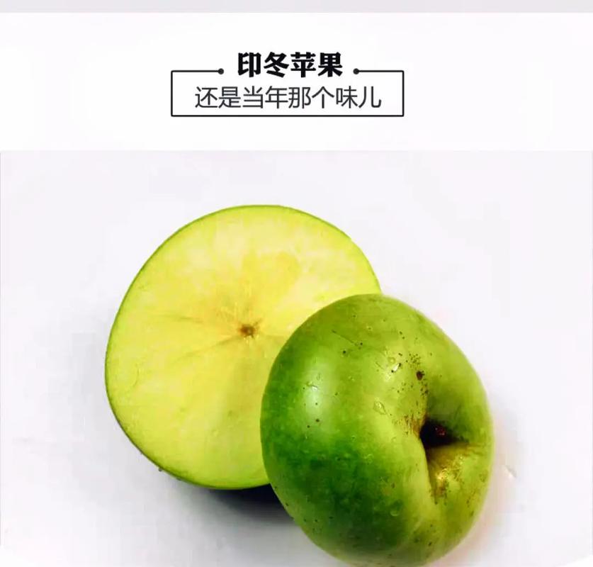 萍果＜印度青〉还有一种叫法,印度为什么年轻人多。 萍果＜印度青〉还有一种叫法,印度为什么年轻人多。 网站建设公司