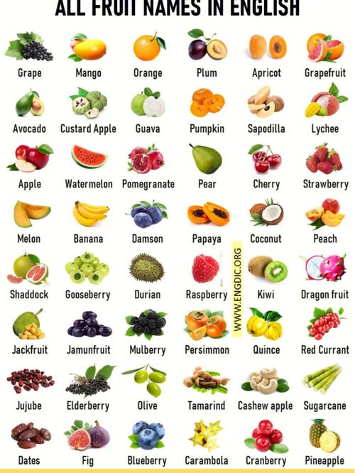 many fruit 和much fruit的区别,英语水果前面加a还是an。 神马SEO many fruit 和much fruit的区别,英语水果前面加a还是an。 many fruit 和much fruit的区别,英语水果前面加a还是an。 神马SEO
