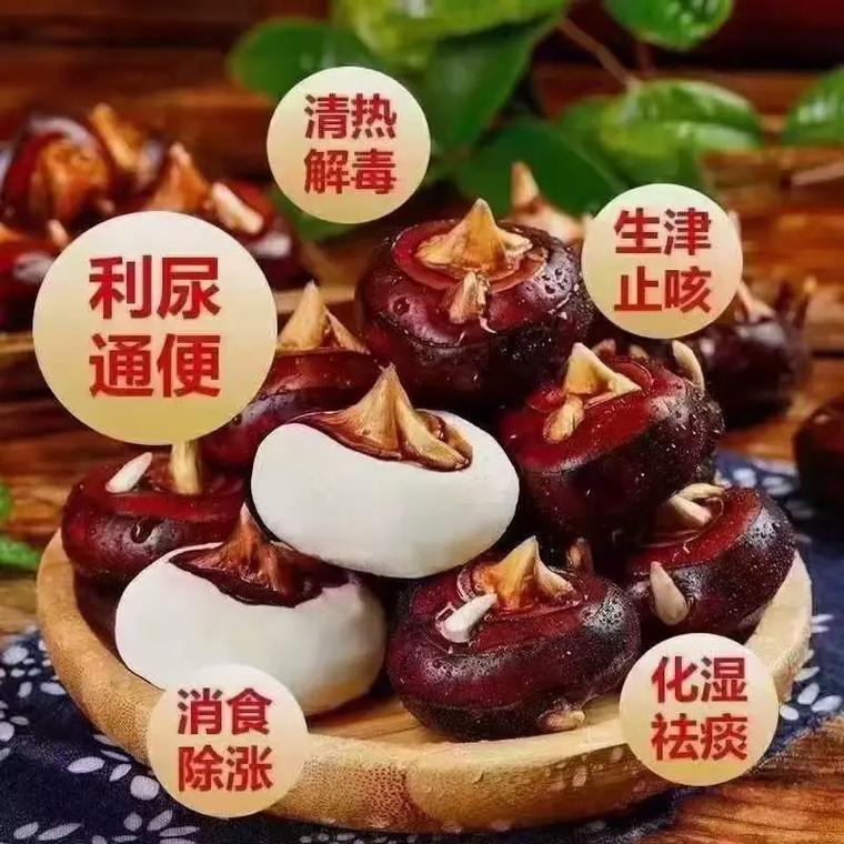 肝火旺的人,不适合吃哪些水果,马蹄为什么吃了头晕呢。 百度SEO 肝火旺的人,不适合吃哪些水果,马蹄为什么吃了头晕呢。 肝火旺的人,不适合吃哪些水果,马蹄为什么吃了头晕呢。 百度SEO