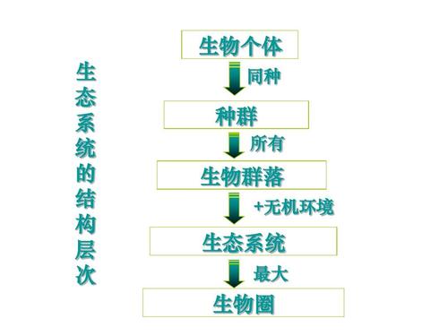 小学五上年级科学中的生态系统与生态群落、生物群落有什么区别,为什么教科书简略不一样。 小学五上年级科学中的生态系统与生态群落、生物群落有什么区别,为什么教科书简略不一样。 神马SEO